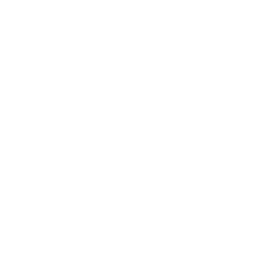 Icon-Mic